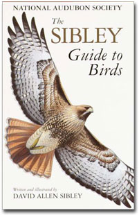 Buy The Sibley Guide to Birds at Amazon.com!