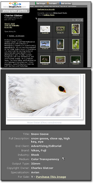 View this online portfolio