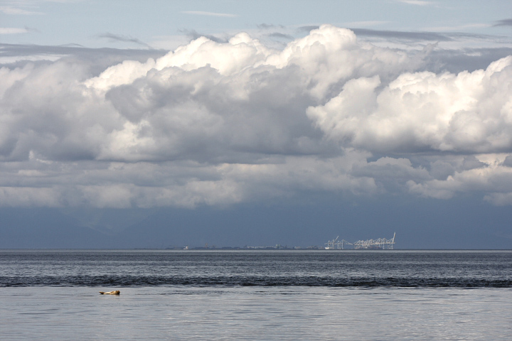 Floating seal