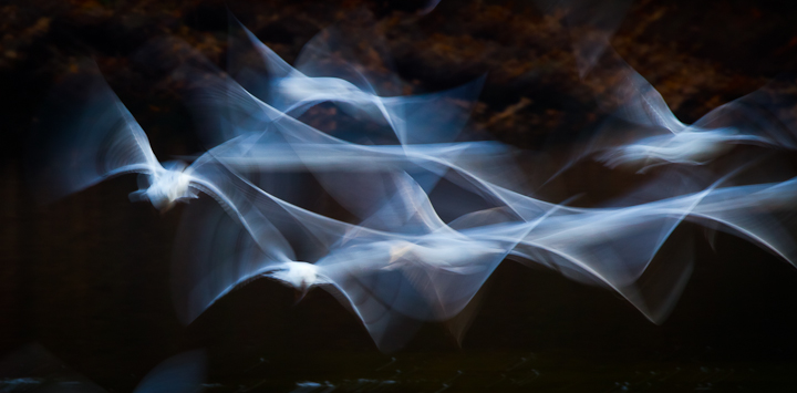 Motion Blur