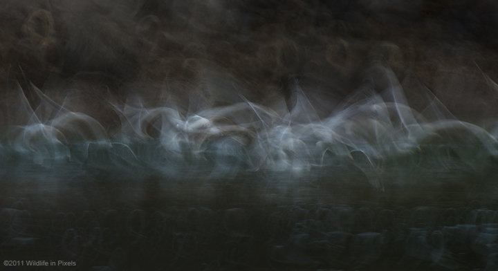 Motion