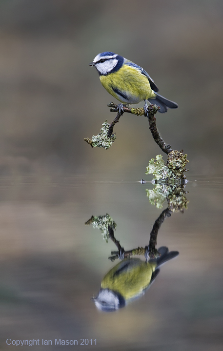 For reflection lovers