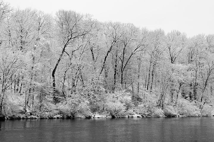 Beautiful Snowfall