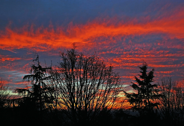 View From My Porch 8