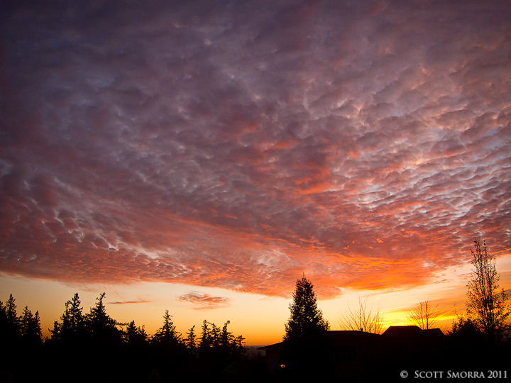 Portland Sunset
