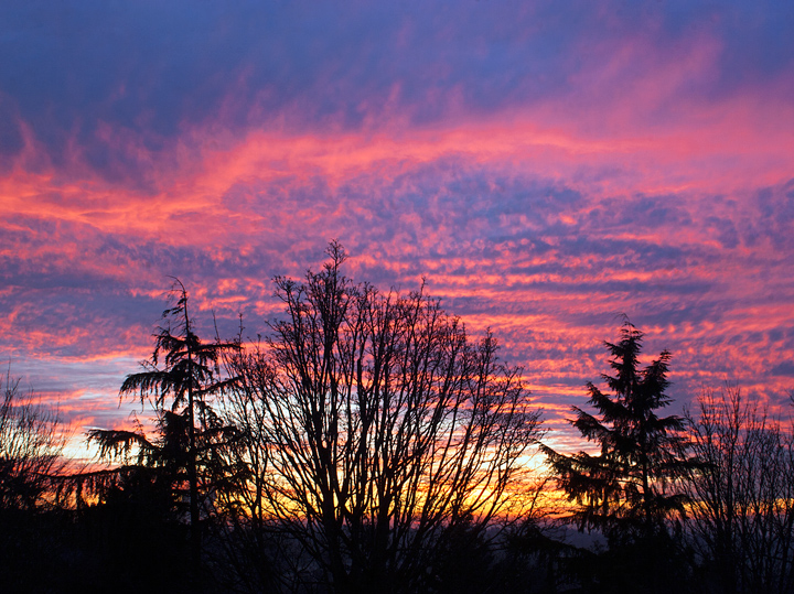 View From My Porch 8.5