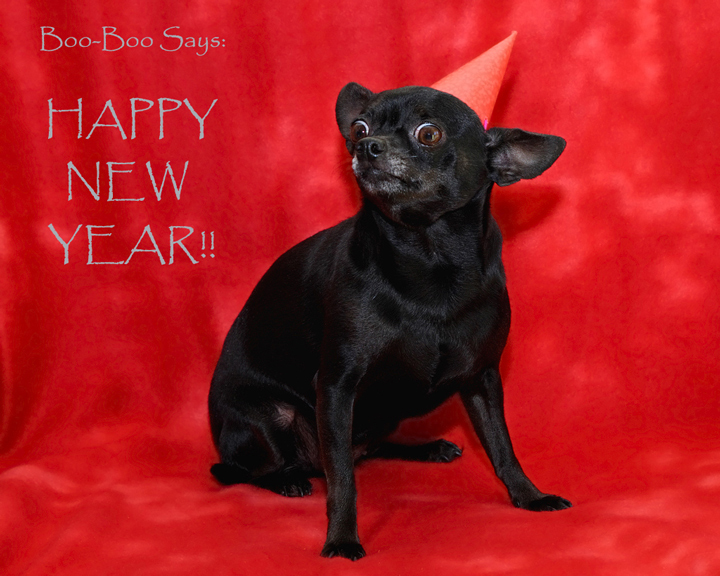 Happy New Year!