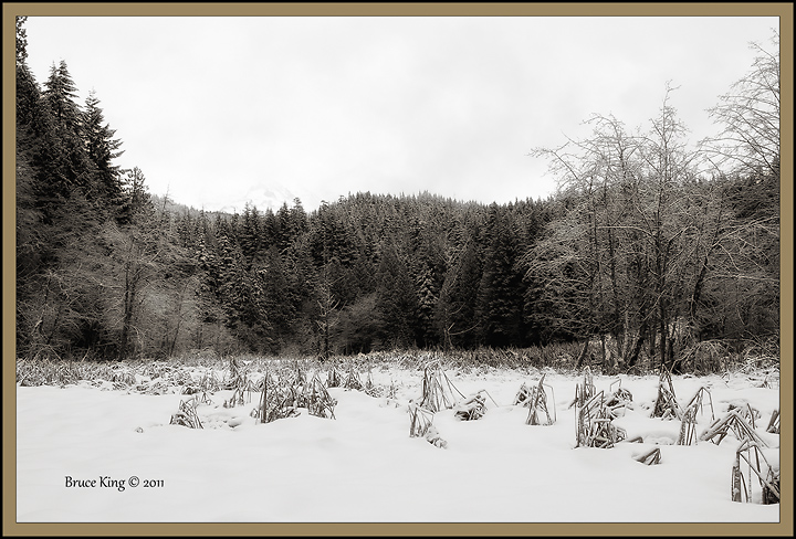 Longmire in BW.......almost.