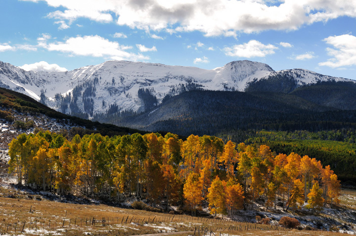 Fall revisited