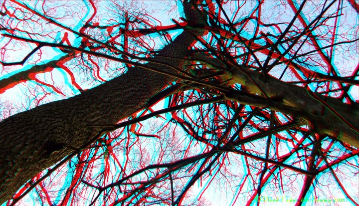 Wooden Embrace + New image.