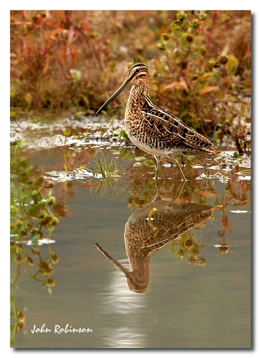 A reflection !!!!!!!