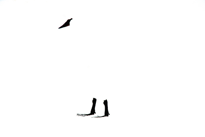 White out-almost