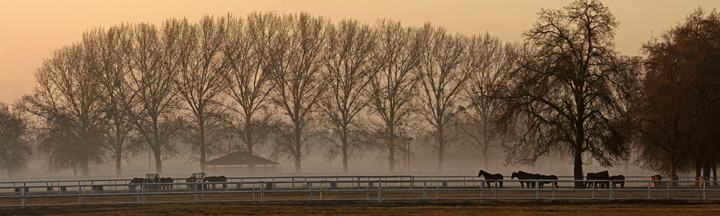 How to shoot Fog