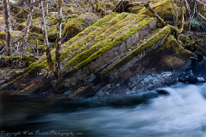 Nestucca river pics