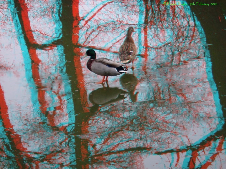 Walking on water.