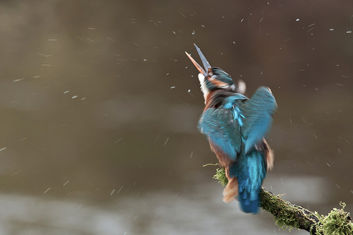 Motion Blur