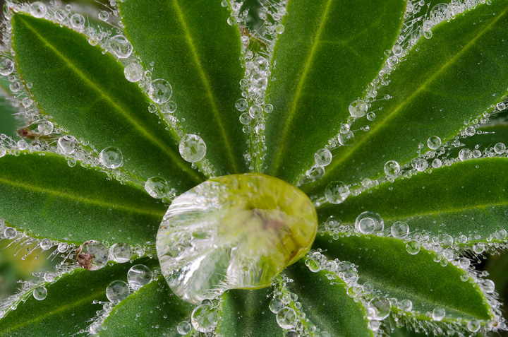 Signs of spring