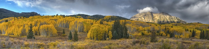 Is it fall yet?