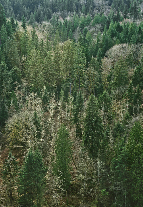 Layers
