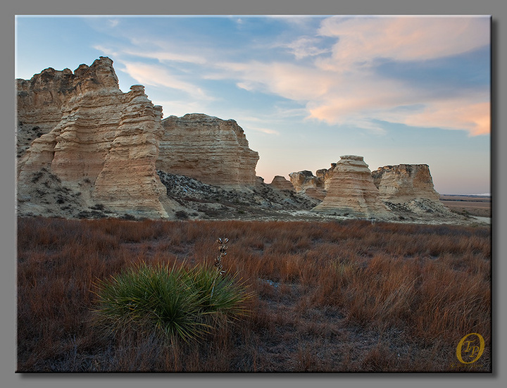 Castle Rocks & Yucca