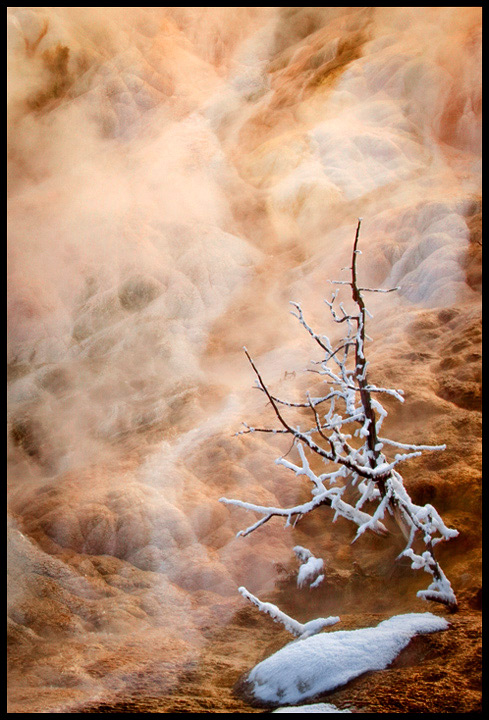 Winter at Mammoth YNP