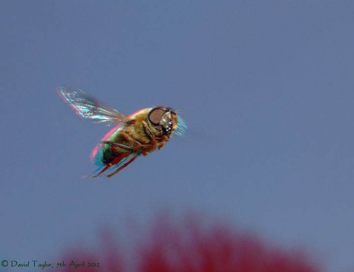Drone fly in flight...
