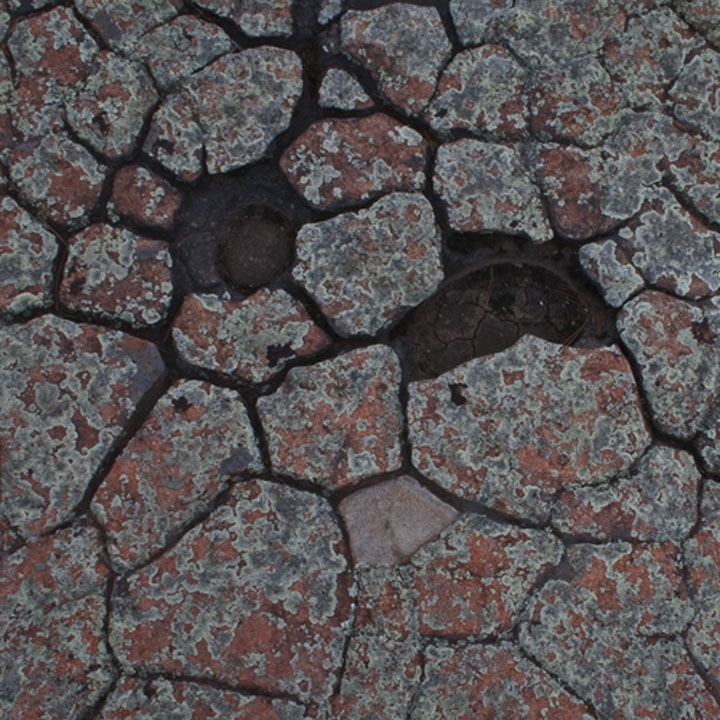 stone faced with repost
