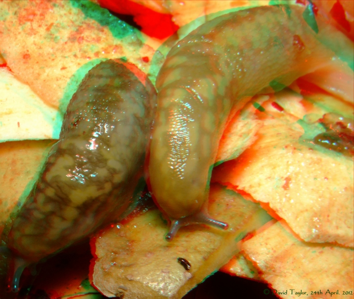 A couple of slugs..