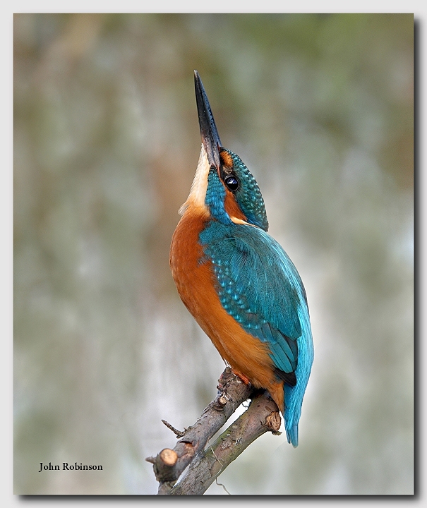 No fish up there mate !