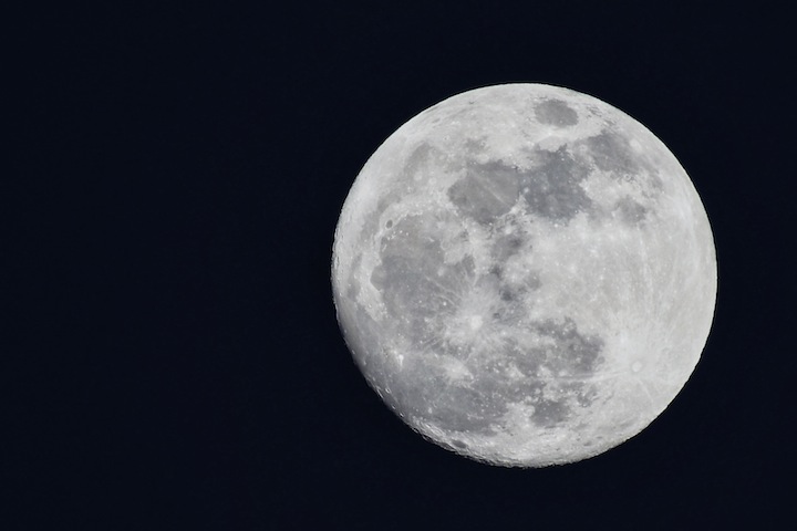 Wellington Supermoon