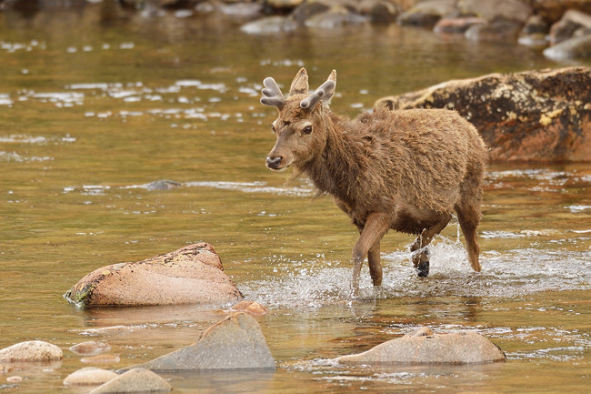 Going for a paddle