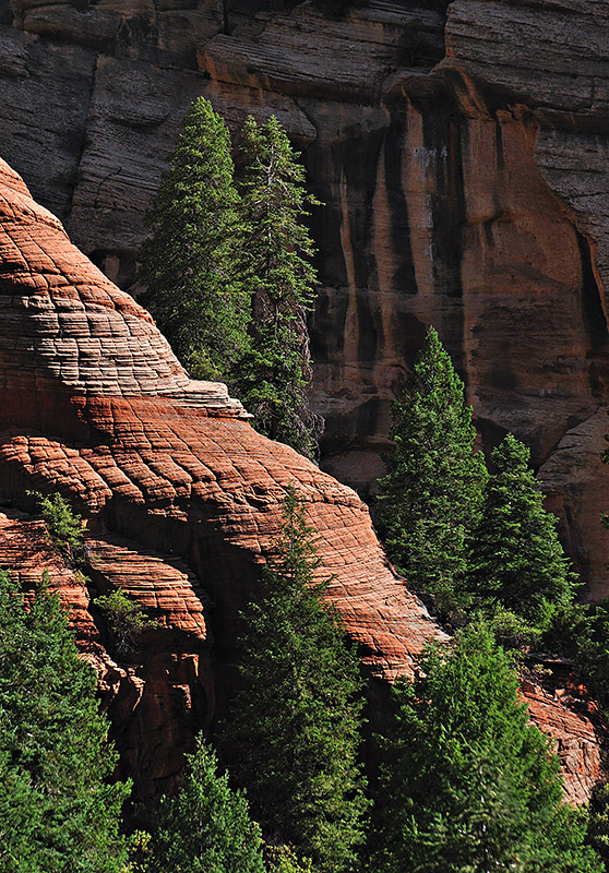 West Fork of Oak Creek, AZ