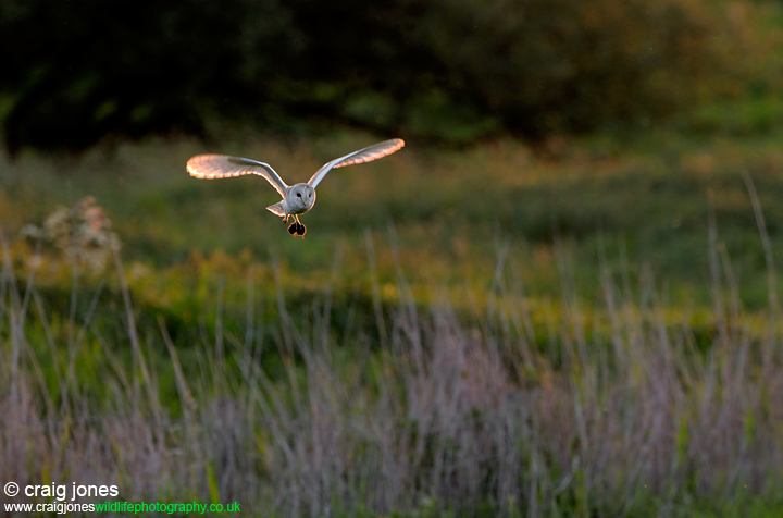 Ghostly Hunter