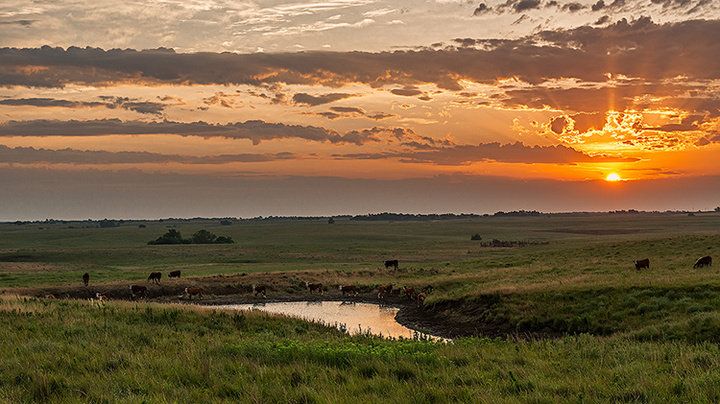 Maxwell Wildlife Refuge,  Canton, KS
