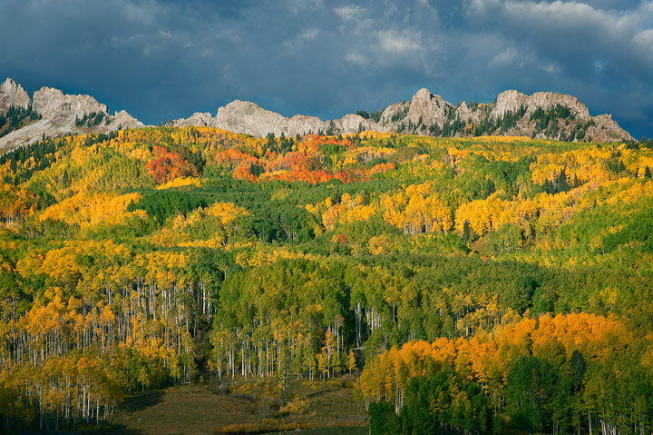 Stormy Autumn (with repost)