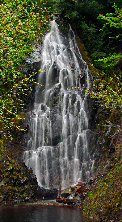 Roadside Attraction