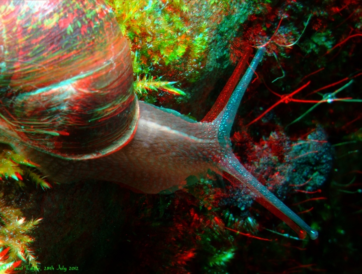 Slithering into...