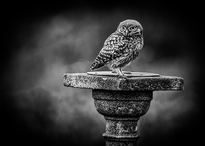 Gothic