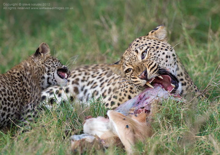 Challenging Mum