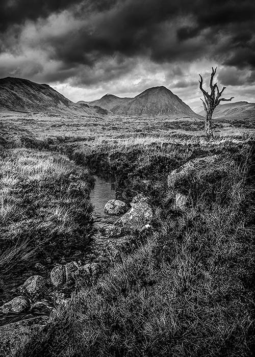 Rannock Moor