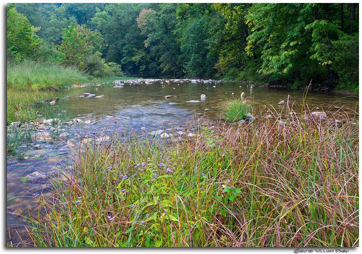 Sylamore Creek