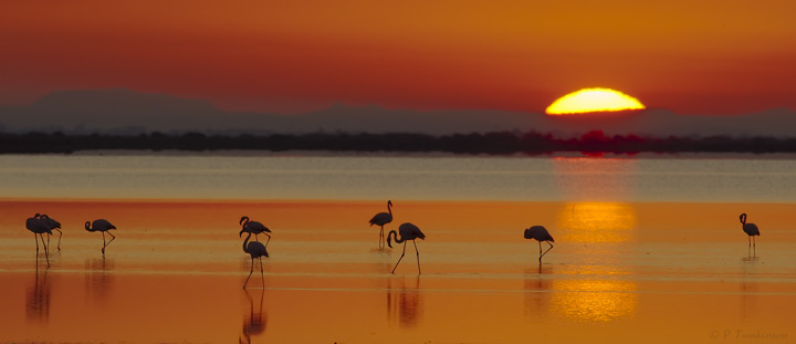 Sunrise II