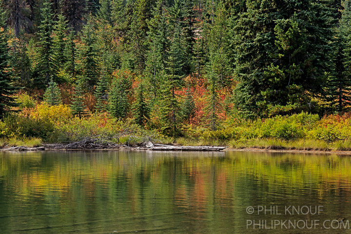 Huckleberry Reflections
