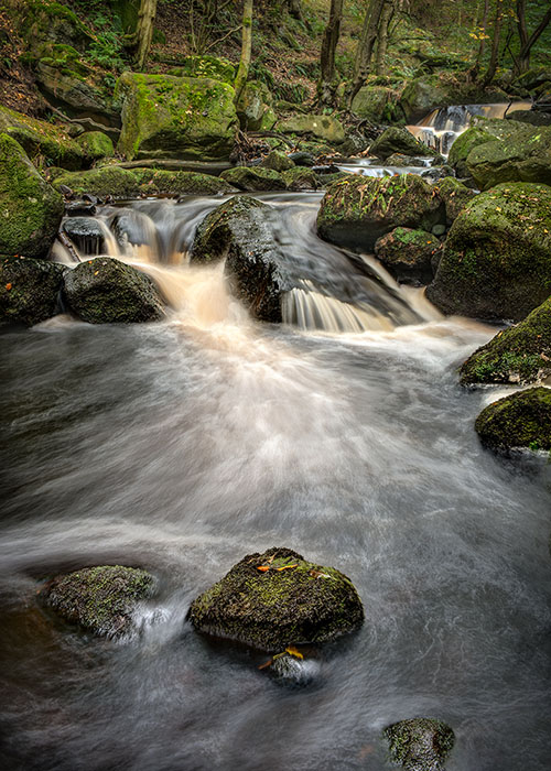 Padley Gorge