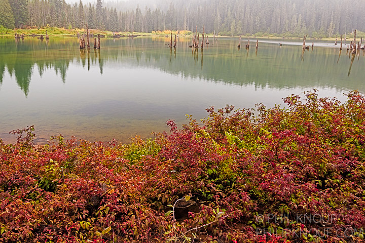 Goose Lake Reflections