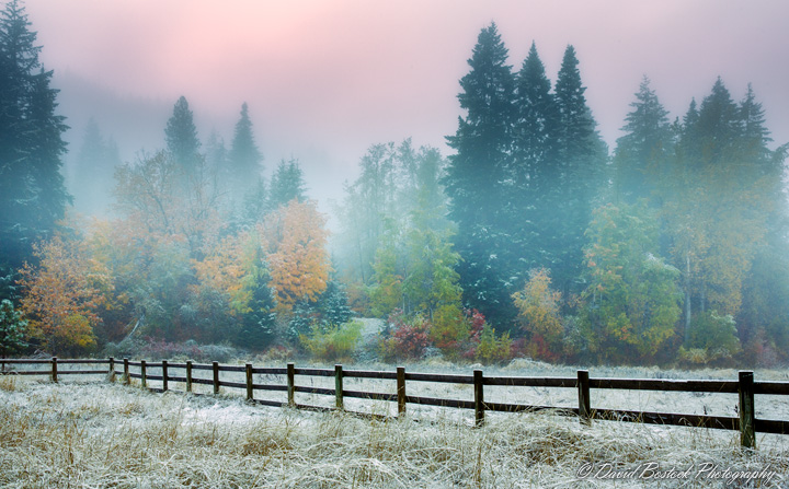 Elk Meadows Dusting