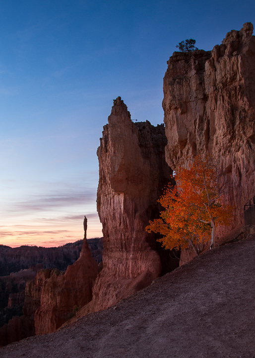 3rd from Bryce