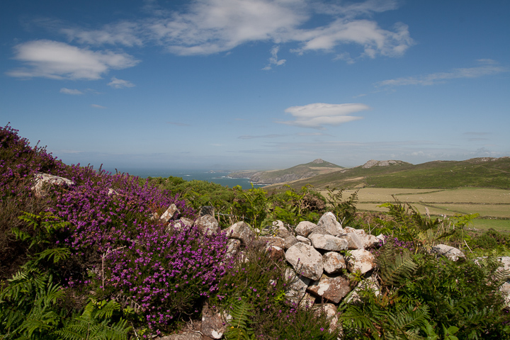 St Davids
