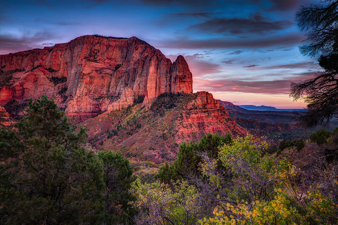 Zion NP Shot Repost (PLEASE Disregard the First Image)
