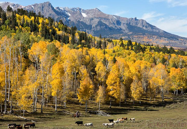 Fall Colors 2012 - Colorado Set